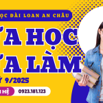 Du học Đài Loan hệ vừa học vừa làm là gì?