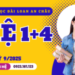 Du học Đài Loan hệ 1+4 là gì?